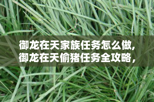 御龙在天家族任务怎么做,御龙在天偷猪任务全攻略，高效完成技巧与细节解析