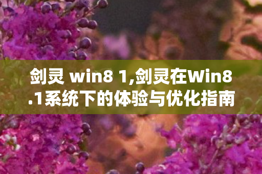 剑灵 win8 1,剑灵在Win8.1系统下的体验与优化指南 剑灵 win8 1,剑灵在Win8.1系统下的体验与优化指南