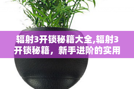 辐射3开锁秘籍大全,辐射3开锁秘籍，新手进阶的实用技巧指南