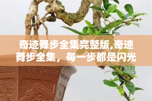 奇迹舞步全集完整版,奇迹舞步全集,每一步都是闪光的热爱 奇迹舞步全集完整版,奇迹舞步全集,每一步都是闪光的热爱