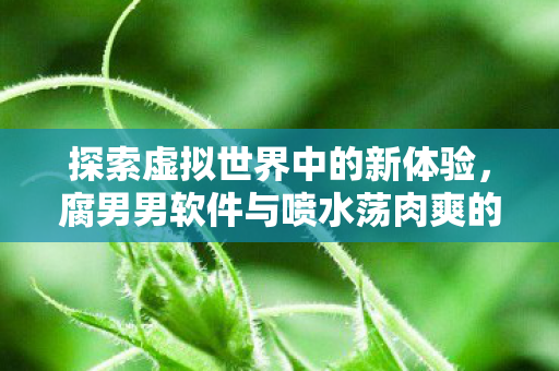 探索虚拟世界中的新体验,腐男男软件与喷水荡肉爽的奇妙之旅 探索虚拟世界中的新体验,腐男男软件与喷水荡肉爽的奇妙之旅