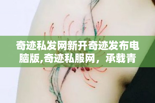 奇迹私发网新开奇迹发布电脑版,奇迹私服网，承载青春记忆的游戏交流乐园