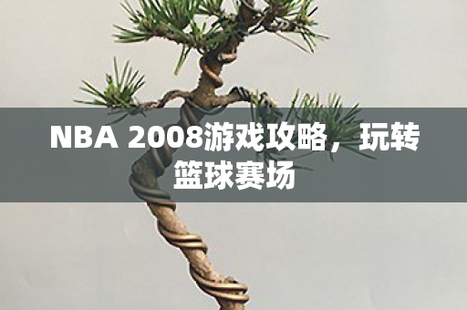 NBA 2008游戏攻略,玩转篮球赛场 NBA 2008游戏攻略,玩转篮球赛场