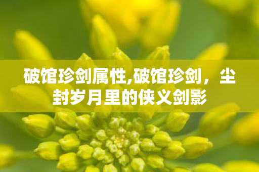 破馆珍剑属性,破馆珍剑,尘封岁月里的侠义剑影 破馆珍剑属性,破馆珍剑,尘封岁月里的侠义剑影