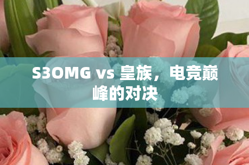 S3OMG vs 皇族,电竞巅峰的对决 S3OMG vs 皇族,电竞巅峰的对决