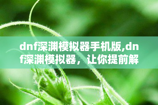 dnf深渊模拟器手机版,dnf深渊模拟器,让你提前解锁史诗掉落的趣味工具 dnf深渊模拟器手机版,dnf深渊模拟器,让你提前解锁史诗掉落的趣味工具