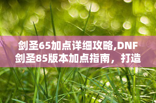 剑圣65加点详细攻略,DNF剑圣85版本加点指南,打造高效输出的核心思路 剑圣65加点详细攻略,DNF剑圣85版本加点指南,打造高效输出的核心思路