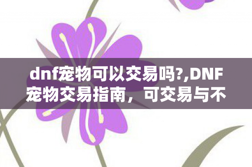 dnf宠物可以交易吗?,DNF宠物交易指南,可交易与不可交易的区分 dnf宠物可以交易吗?,DNF宠物交易指南,可交易与不可交易的区分