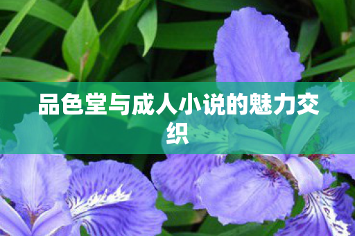 品色堂与成人小说的魅力交织 品色堂与成人小说的魅力交织
