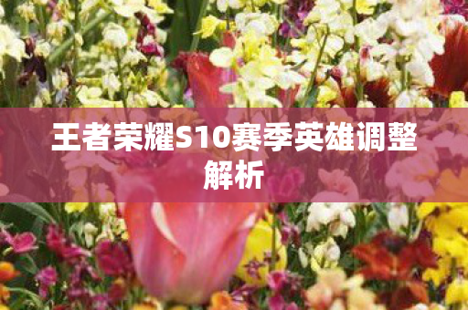 王者荣耀S10赛季英雄调整解析 王者荣耀S10赛季英雄调整解析