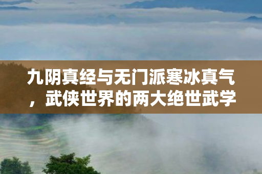 九阴真经与无门派寒冰真气,武侠世界的两大绝世武学 九阴真经与无门派寒冰真气,武侠世界的两大绝世武学