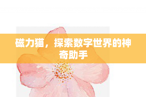 磁力猫,探索数字世界的神奇助手 磁力猫,探索数字世界的神奇助手