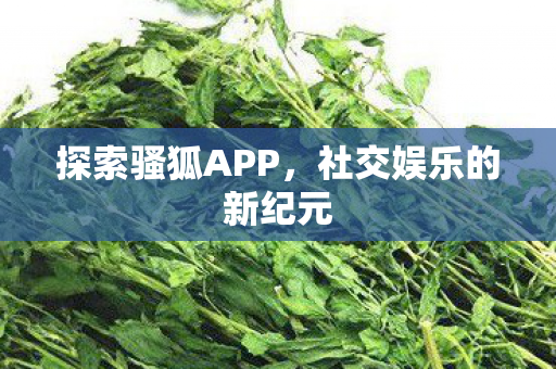 探索骚狐APP,社交娱乐的新纪元 探索骚狐APP,社交娱乐的新纪元