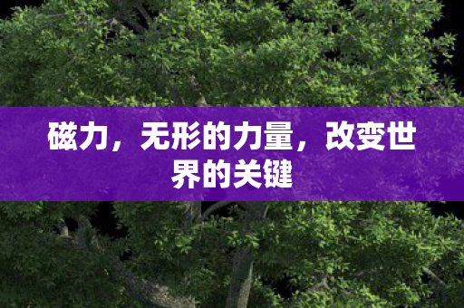 磁力,无形的力量,改变世界的关键 磁力,无形的力量,改变世界的关键