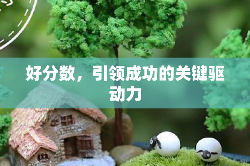 好分数,引领成功的关键驱动力 好分数,引领成功的关键驱动力