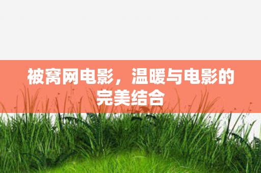 被窝网电影,温暖与电影的完美结合 被窝网电影,温暖与电影的完美结合