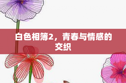 白色相簿2,青春与情感的交织 白色相簿2,青春与情感的交织