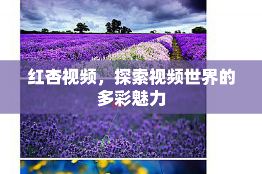 红杏视频，探索视频世界的多彩魅力