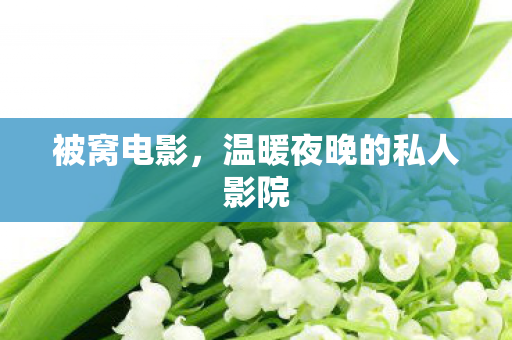 被窝电影,温暖夜晚的私人影院 被窝电影,温暖夜晚的私人影院
