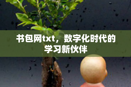书包网txt,数字化时代的学习新伙伴 书包网txt,数字化时代的学习新伙伴