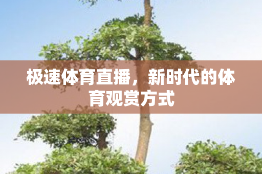 极速体育直播,新时代的体育观赏方式 极速体育直播,新时代的体育观赏方式