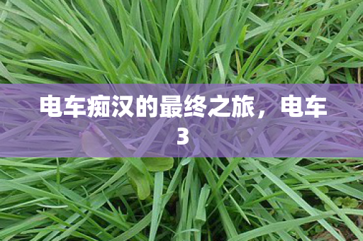 电车痴汉的最终之旅,电车3 电车痴汉的最终之旅,电车3