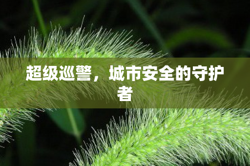 超级巡警，城市安全的守护者