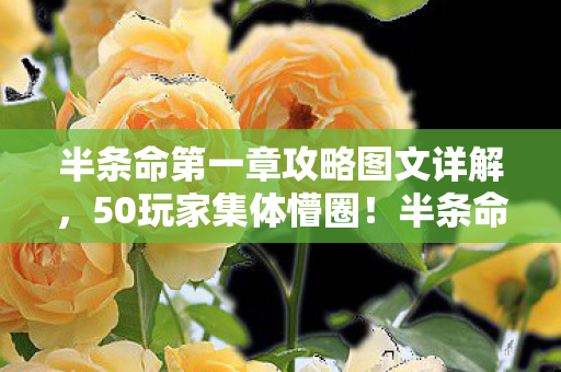 半条命第一章攻略图文详解,50玩家集体懵圈!半条命第一章隐藏疑点,大神都绷不住直呼离谱 半条命第一章攻略图文详解,50玩家集体懵圈!半条命第一章隐藏疑点,大神都绷不住直呼离谱