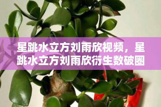 星跳水立方刘雨欣视频,星跳水立方刘雨欣衍生数破圈!这波联名让我穷到意想不到! 星跳水立方刘雨欣视频,星跳水立方刘雨欣衍生数破圈!这波联名让我穷到意想不到!
