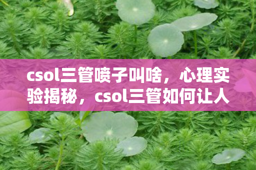 csol三管喷子叫啥,心理实验揭秘,csol三管如何让人沉迷?多巴胺陷阱细思极恐! csol三管喷子叫啥,心理实验揭秘,csol三管如何让人沉迷?多巴胺陷阱细思极恐!
