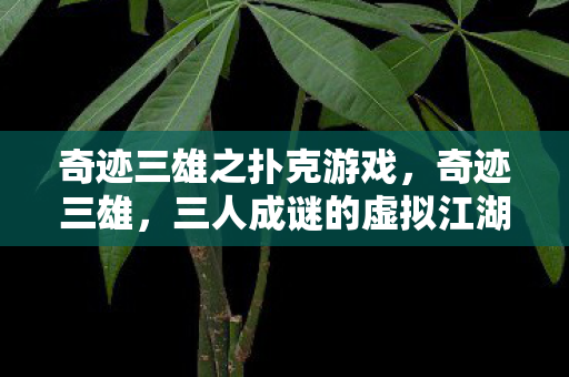 奇迹三雄之扑克游戏,奇迹三雄,三人成谜的虚拟江湖,谁先破防笑到最后? 奇迹三雄之扑克游戏,奇迹三雄,三人成谜的虚拟江湖,谁先破防笑到最后?