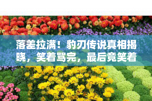 落差拉满!豹刃传说真相揭晓,笑着骂完,最后竟笑着哭了 落差拉满!豹刃传说真相揭晓,笑着骂完,最后竟笑着哭了