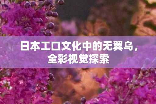 日本工口文化中的无翼乌,全彩视觉探索 日本工口文化中的无翼乌,全彩视觉探索