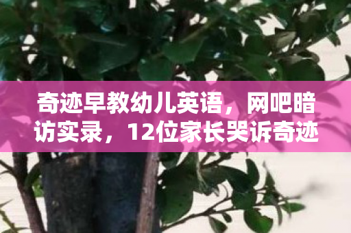 奇迹早教幼儿英语,网吧暗访实录,12位家长哭诉奇迹早教疑点,最后一位绷不住了 奇迹早教幼儿英语,网吧暗访实录,12位家长哭诉奇迹早教疑点,最后一位绷不住了