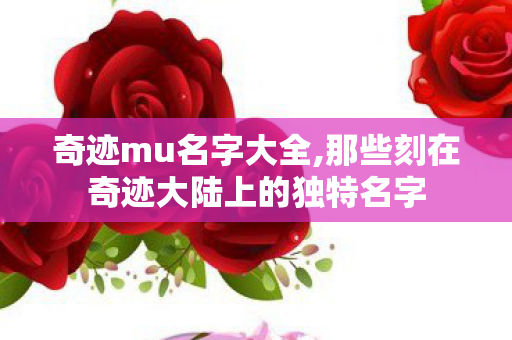 奇迹mu名字大全,那些刻在奇迹大陆上的独特名字 奇迹mu名字大全,那些刻在奇迹大陆上的独特名字