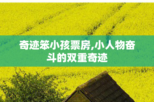 奇迹笨小孩票房,小人物奋斗的双重奇迹 奇迹笨小孩票房,小人物奋斗的双重奇迹