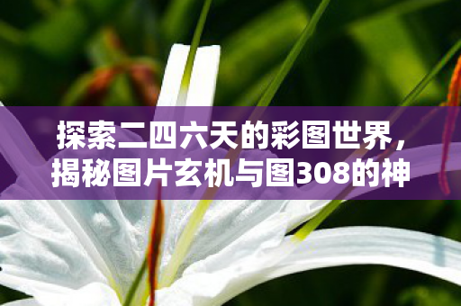 探索二四六天的彩图世界,揭秘图片玄机与图308的神秘面纱 探索二四六天的彩图世界,揭秘图片玄机与图308的神秘面纱