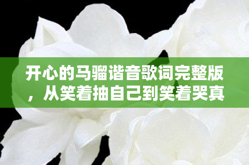 开心的马骝谐音歌词完整版,从笑着抽自己到笑着哭真相,落差里藏着戒不掉的2027年执念 开心的马骝谐音歌词完整版,从笑着抽自己到笑着哭真相,落差里藏着戒不掉的2027年执念