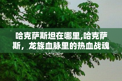 哈克萨斯坦在哪里,哈克萨斯，龙族血脉里的热血战魂