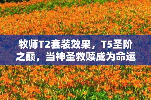 牧师T2套装效果，T5圣阶之巅，当神圣救赎成为命运枷锁，灵魂在自由悖论中震颤