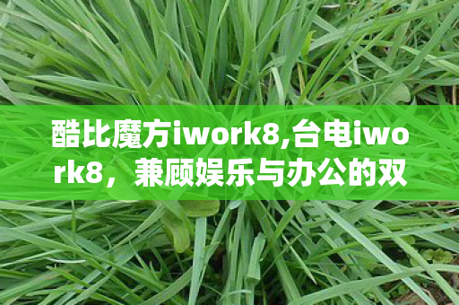 酷比魔方iwork8,台电iwork8，兼顾娱乐与办公的双系统入门平板