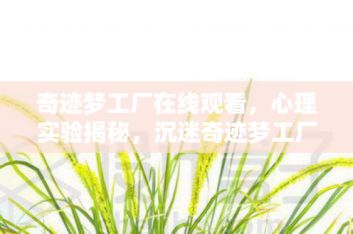 奇迹梦工厂在线观看,心理实验揭秘,沉迷奇迹梦工厂?多巴胺陷阱细思极恐! 奇迹梦工厂在线观看,心理实验揭秘,沉迷奇迹梦工厂?多巴胺陷阱细思极恐!