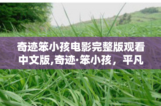 奇迹笨小孩电影完整版观看中文版,奇迹·笨小孩，平凡人书写的奋斗史诗