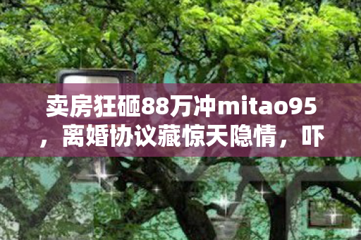 卖房狂砸88万冲mitao95，离婚协议藏惊天隐情，吓到腿软！