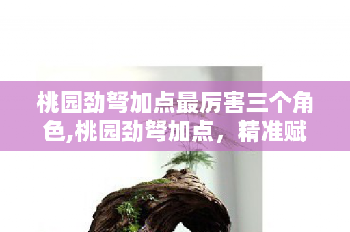 桃园劲弩加点最厉害三个角色,桃园劲弩加点，精准赋能，铸就远程攻坚核心
