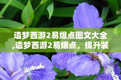 造梦西游2易爆点图文大全,造梦西游2易爆点,提升装备掉落的实用攻略 造梦西游2易爆点图文大全,造梦西游2易爆点,提升装备掉落的实用攻略