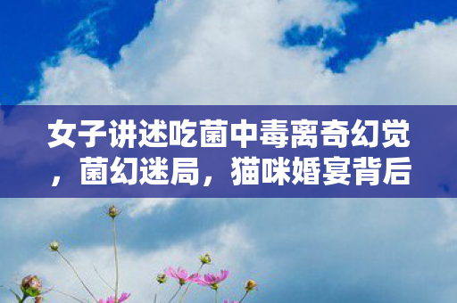 女子讲述吃菌中毒离奇幻觉，菌幻迷局，猫咪婚宴背后的死亡密码与玩家共谋的惊悚真相