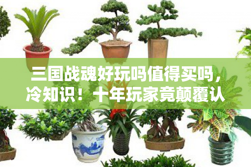 三国战魂好玩吗值得买吗,冷知识!十年玩家竟颠覆认知,三国战魂真相让我目瞪口呆! 三国战魂好玩吗值得买吗,冷知识!十年玩家竟颠覆认知,三国战魂真相让我目瞪口呆!