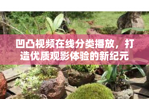 凹凸视频在线分类播放,打造优质观影体验的新纪元 凹凸视频在线分类播放,打造优质观影体验的新纪元