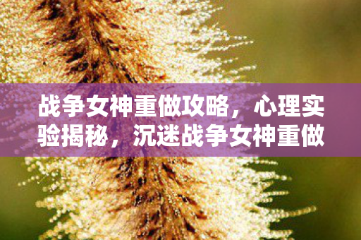 战争女神重做攻略,心理实验揭秘,沉迷战争女神重做,细思极恐的自我麻醉之旅 战争女神重做攻略,心理实验揭秘,沉迷战争女神重做,细思极恐的自我麻醉之旅